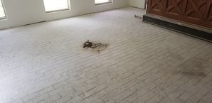 Before & After Tile Cleaning in Webster, TX (1)