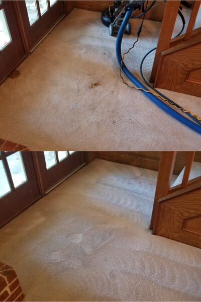 Carpet Stain Removal in League City, TX (1)