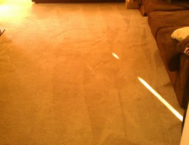 Before & After Carpet Cleaning in Webster, TX