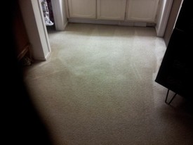 Before & After Carpet Cleaning / Stain Removal in Webster, TX