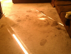 Before & After Carpet Cleaning in Webster, TX